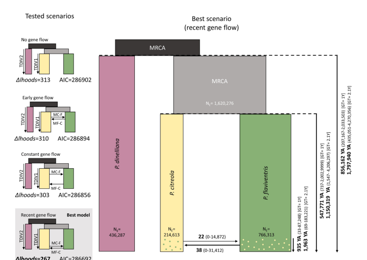 Implementación de sistemas automáticos de monitoreo sonoro